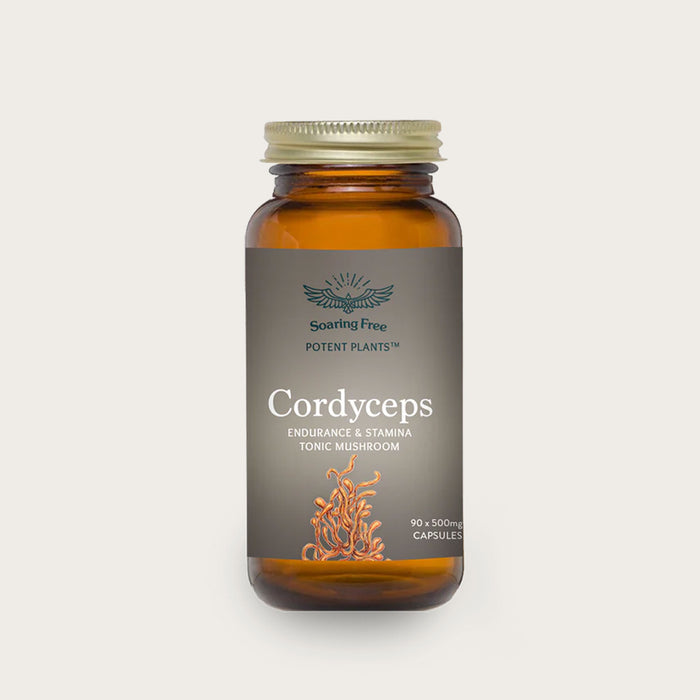 Soaring Free Organic Cordyceps